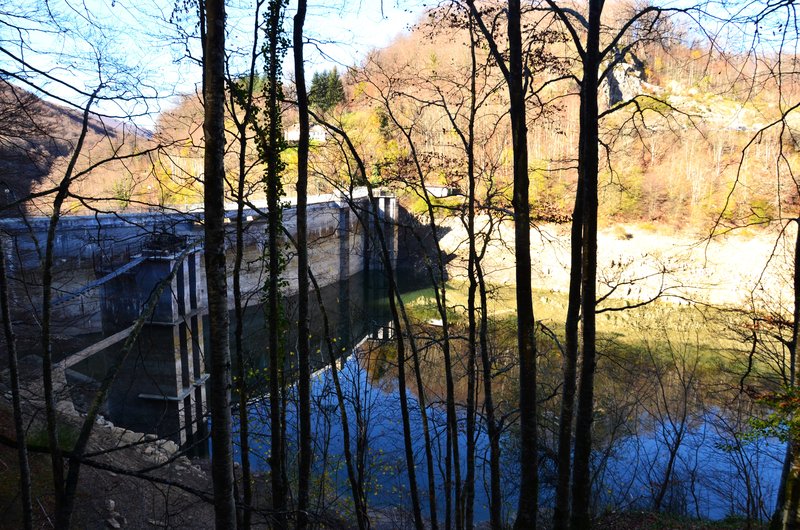 SELVA DE IRATI-14-11-2015-NAVARRA - Paseando por España-1991/2024 (19)