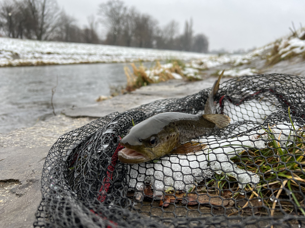 06035DAA-510E-4634-B9FF-FBF1AEA7E0C1