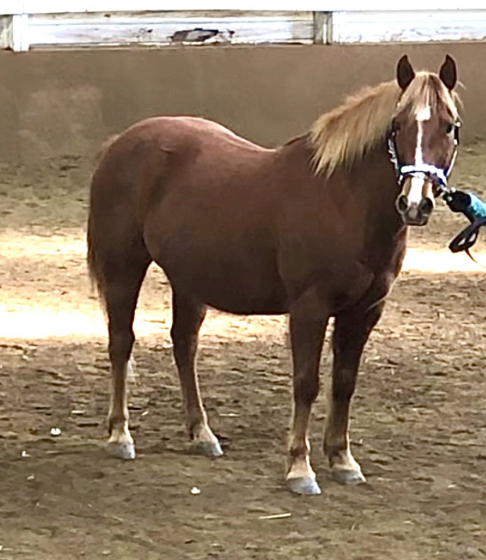 C6CFA202-CDD3-44FE-A85C-5968CC13F482