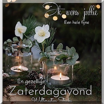 1.jpg boder=