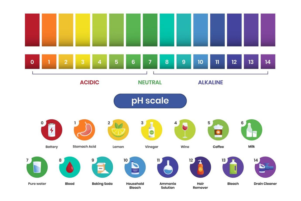 ph level scale, salt: acid or base