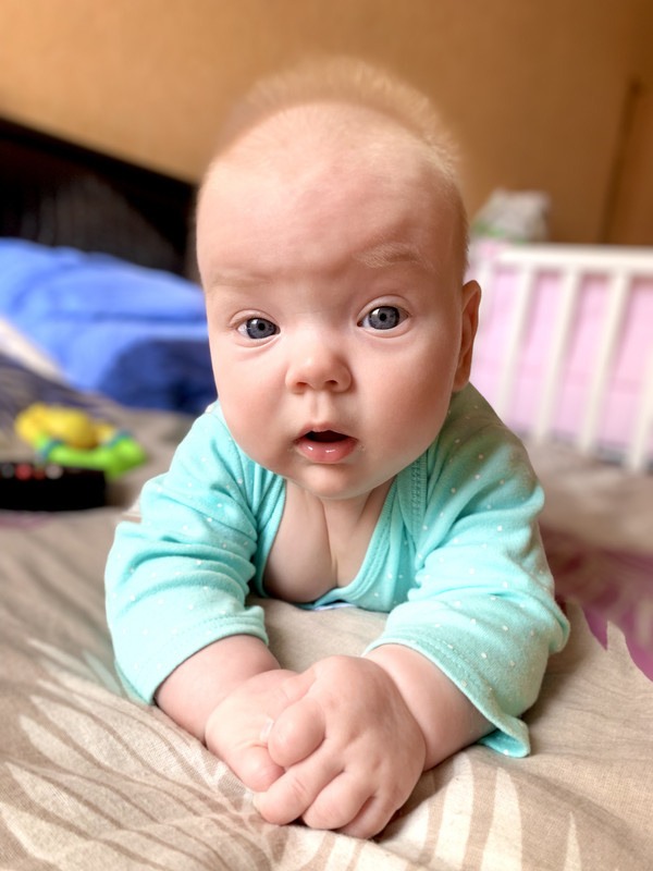 D52CB561-900F-4FFD-8875-C993DE26276E