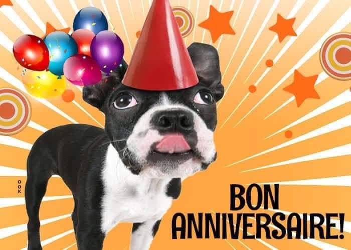 [Image: received-1336850943849459.jpg]