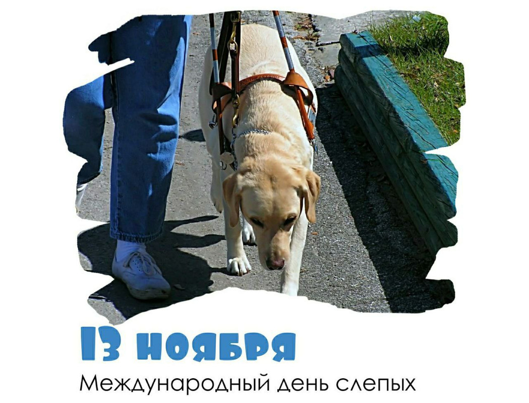 IMG_20231113_124642_781