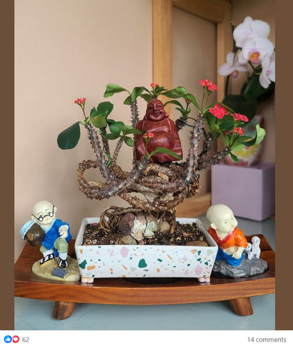 [Image: 2024-07-06-084526.jpg]