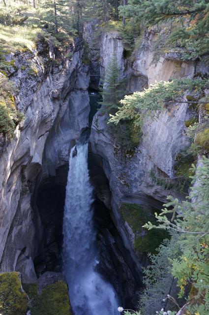 Vancouver y Rocosas Low Cost: Dos semanas por lo mejor de Canadá - Blogs de Canada - Día 6: Jasper y alrededores (2)