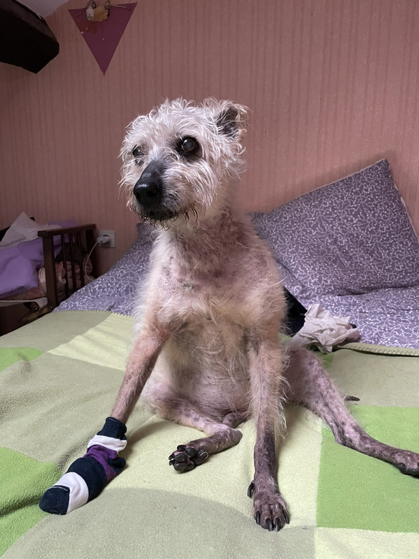 F23DD0B4-6987-4FAA-AFCF-93AC17230DCE