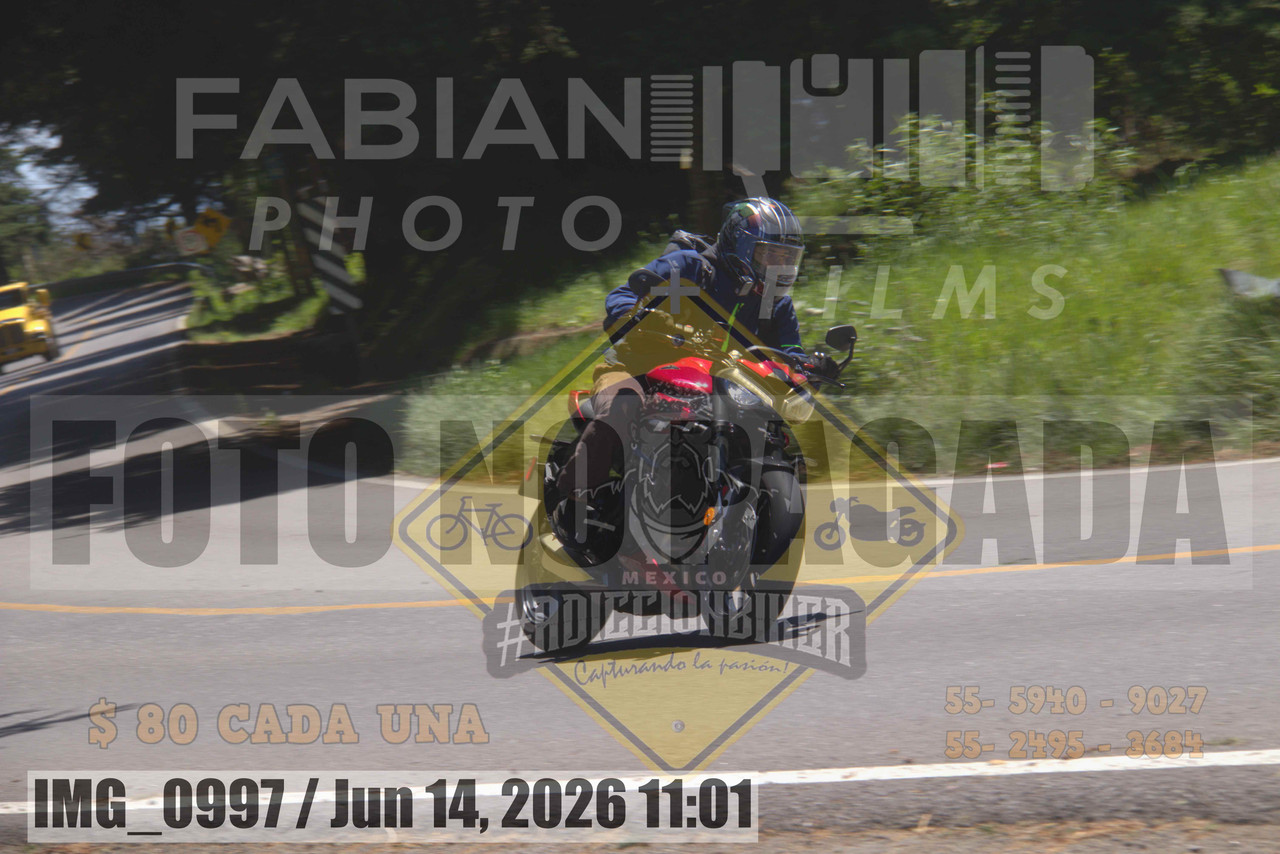 IMG 0997