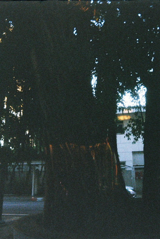 Kodak-UMHF-53-resize