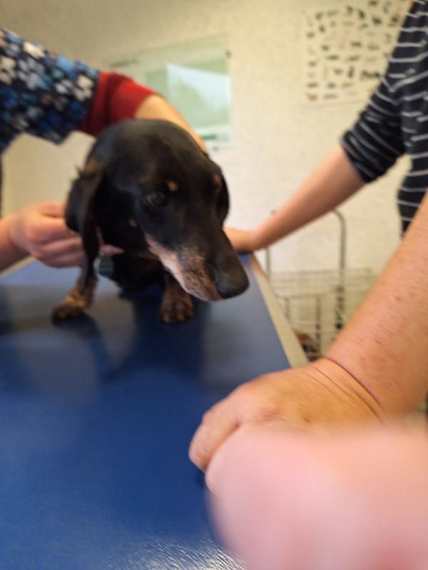 [Image: 20240419-173514-0.jpg]