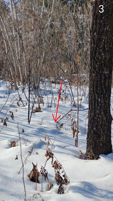 44 16098 133 28812 ( 4м) 07122025 131223 edit 24299616325625