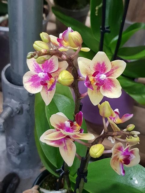 20190209-103410.jpg