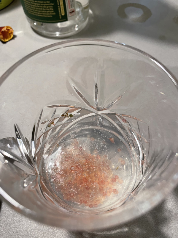 5FE3CB86-F38E-44B5-8E70-8190D5982B7E