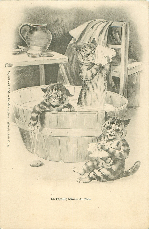 17-2011-05-30-11-03-48