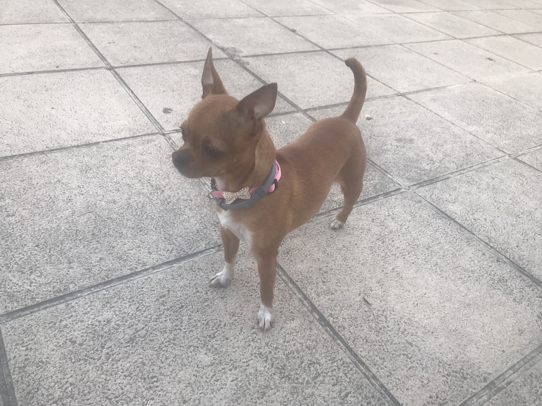 69BECFD0-50AD-48B0-A9C9-870DFDFD1C2A