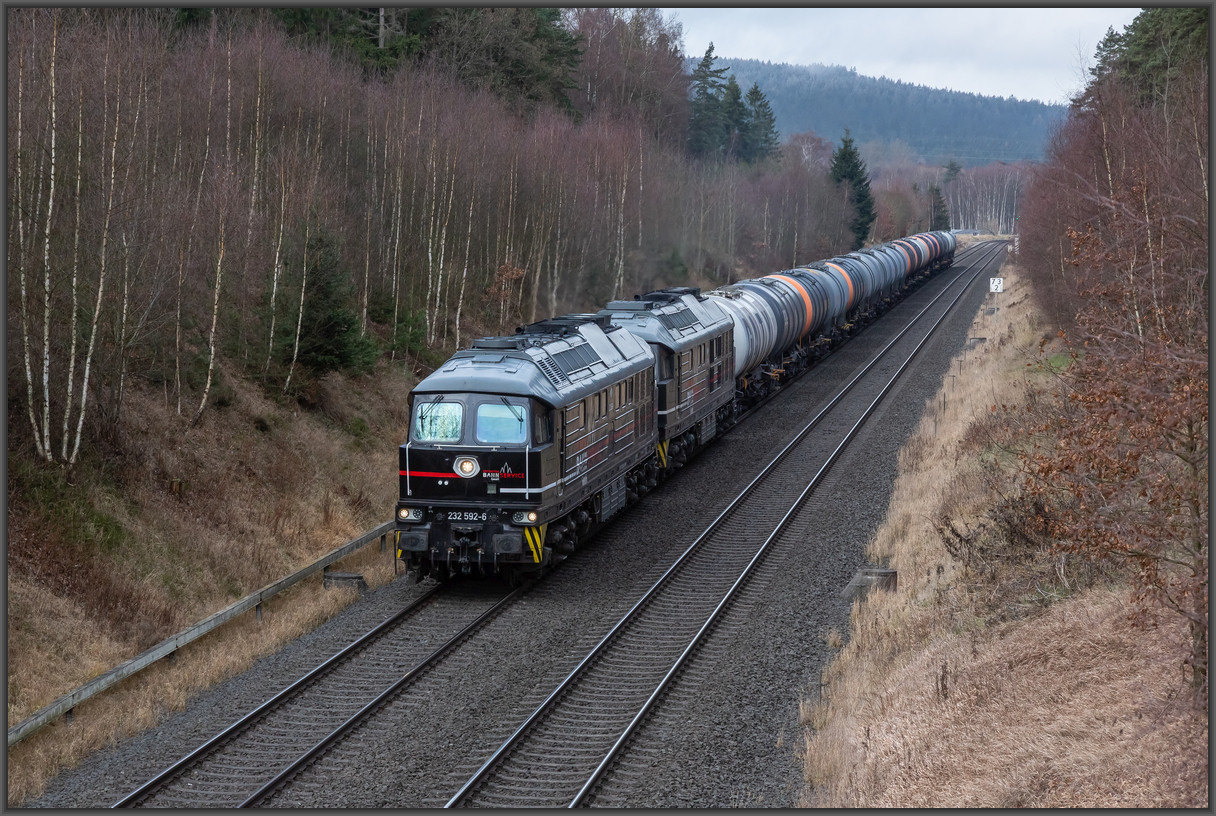 20251206 M7A7119
