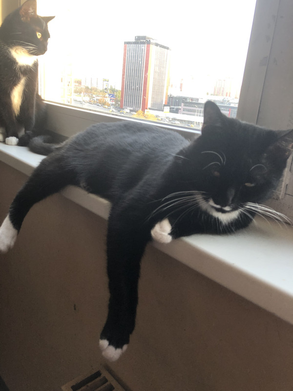 8C4CC6D5-5A12-40F0-A9B1-582341A25B0F