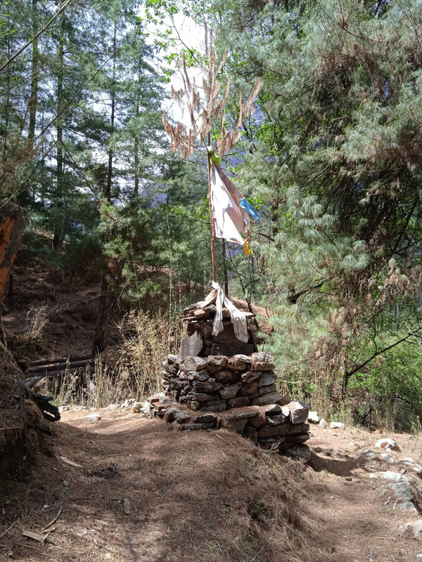 IMG_20230517_225453_332