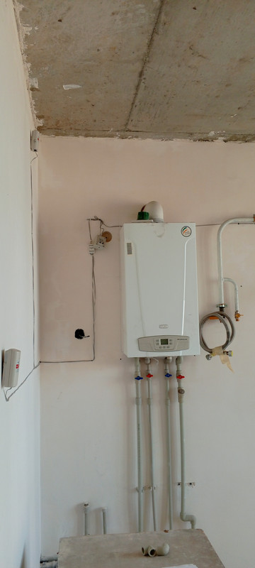 IMG_20241009_150359_047