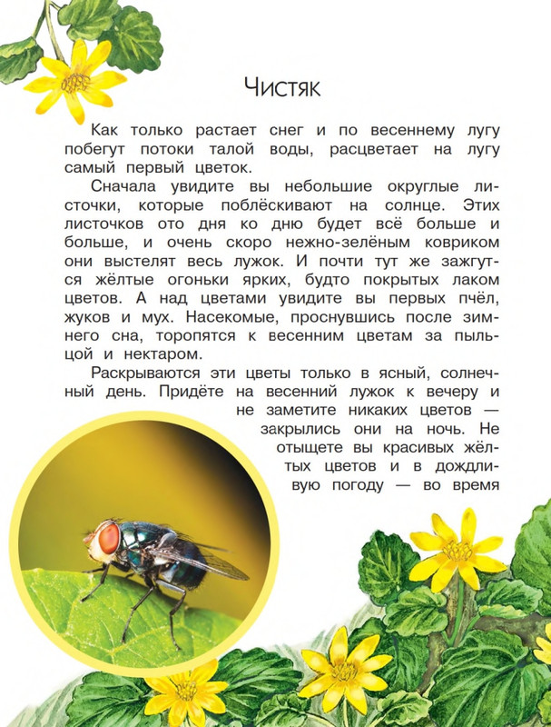 Onegov-Anatolij-Pochemu-kukushka-slozki-lot-page-0005