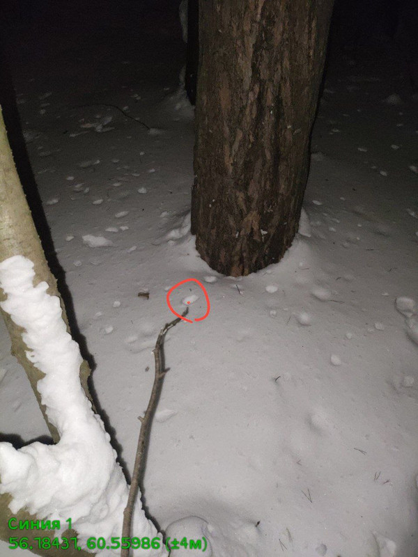 photo 12 2026 03 12 14 37 40