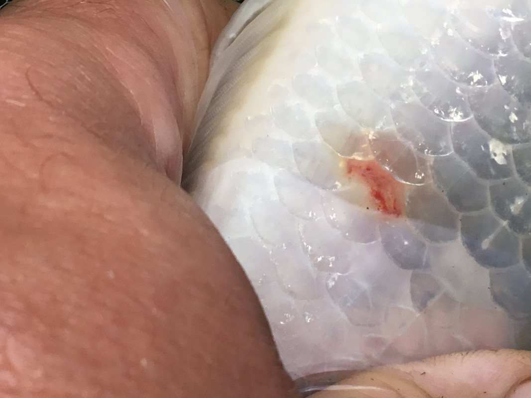 996468F6-55C7-45B2-98EA-CA47E910D353