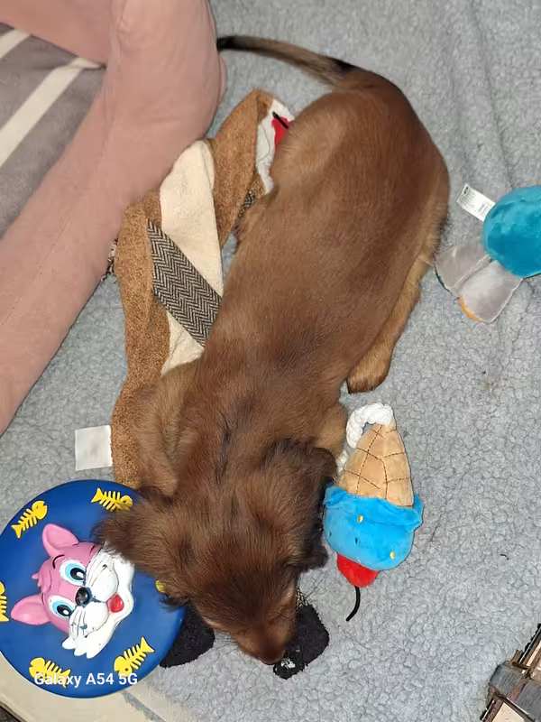 [Image: 20240908-101749.avif]