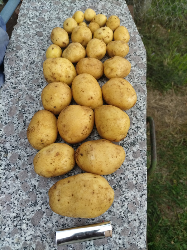IMG 20260713 132639