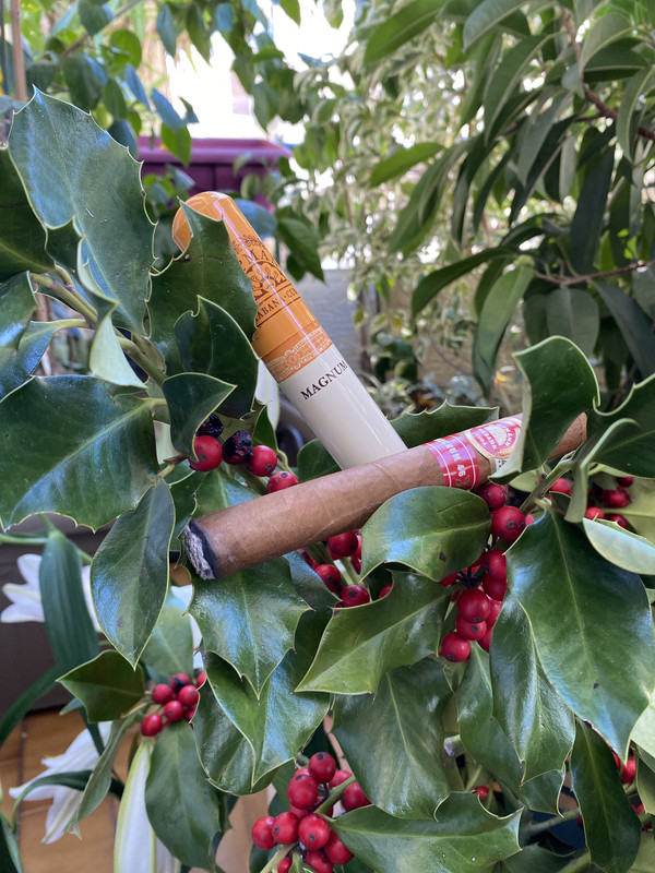 C61C6F5F-5DD1-4BA2-AD15-54932F3462D1