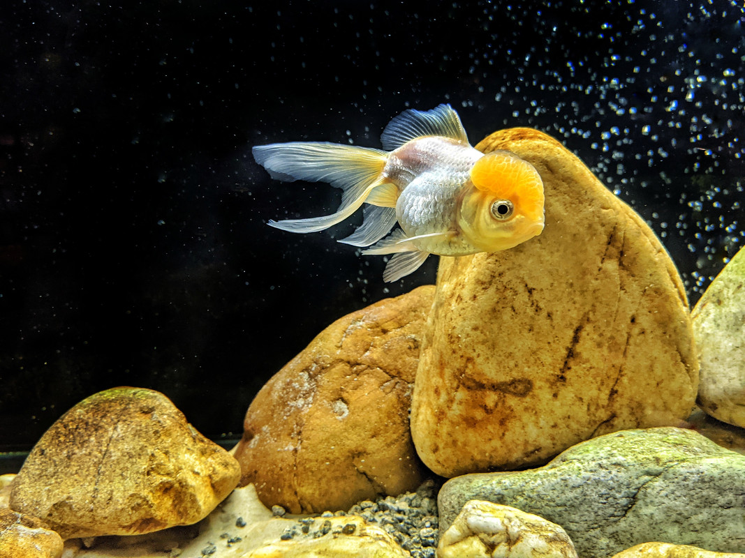 PXL_20210929_142540570-01