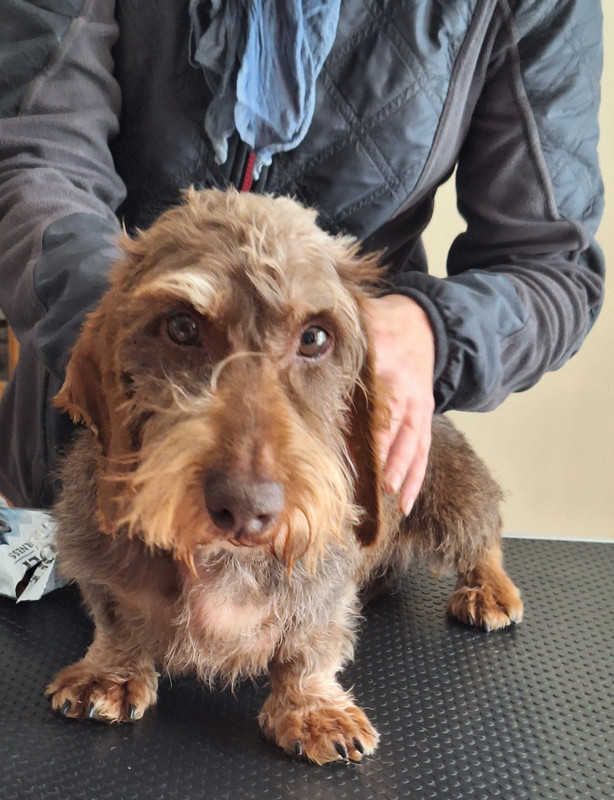 [Image: 20241022-142650.jpg]