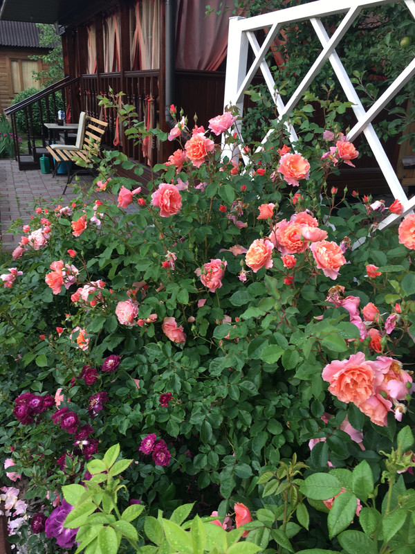 409354E4-34EC-4EC2-9858-0ED93CF045B8