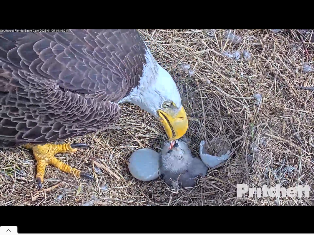 97B51C99-5ED4-4517-A437-CBC6FF5C25F9