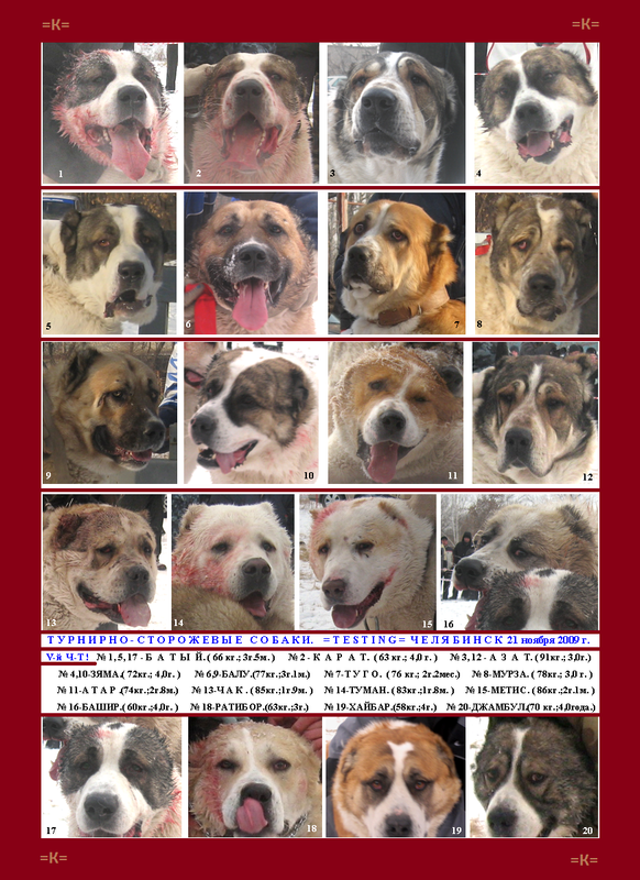 2009.11.21 5-й Турнир 1-й Круг ТСС Портреты ЛИСТ (2)