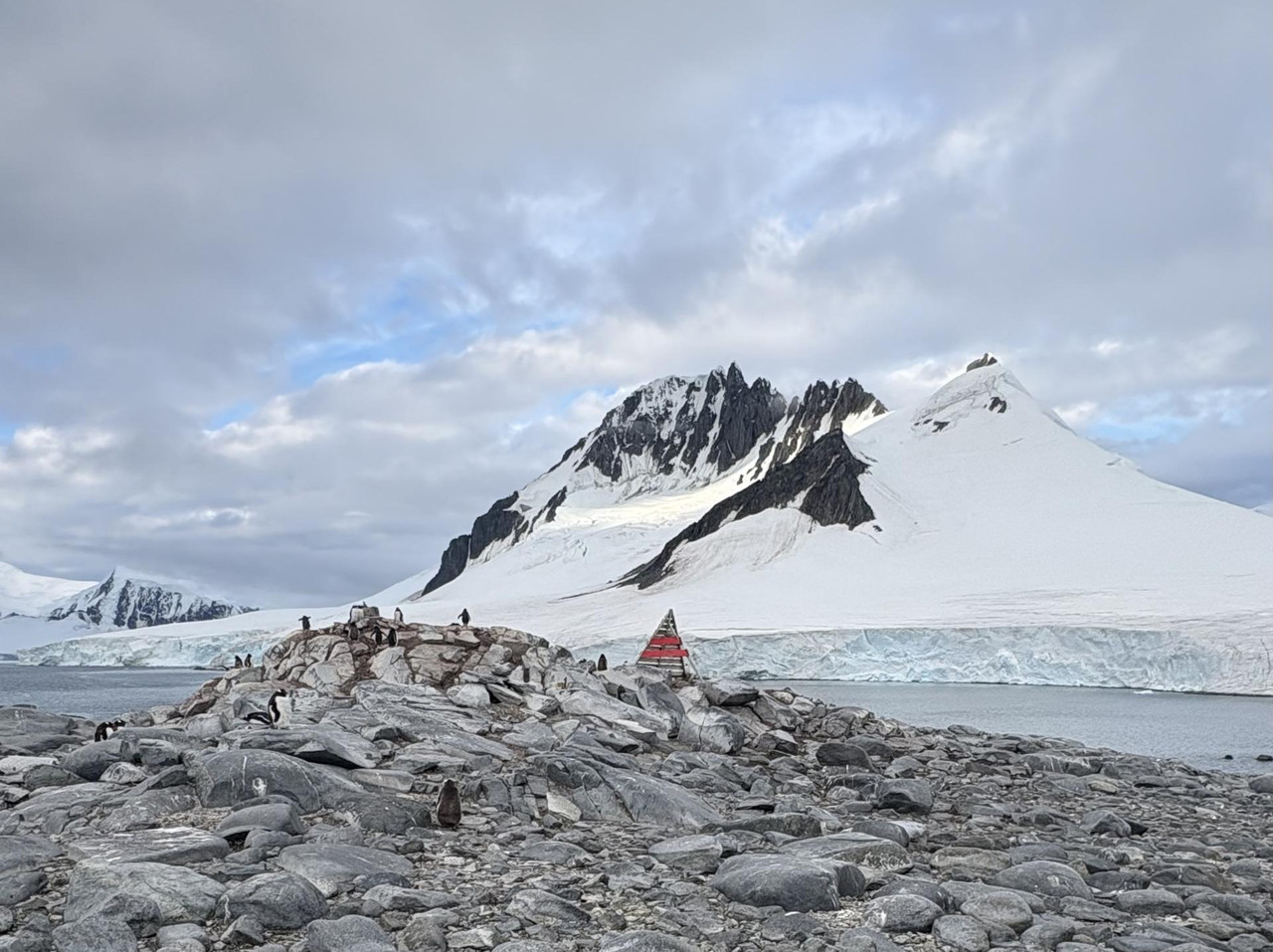 Día 4 (II). Canal Neumayer y Damoy Point - Antártida: Rumbo al Continente Blanco (7)