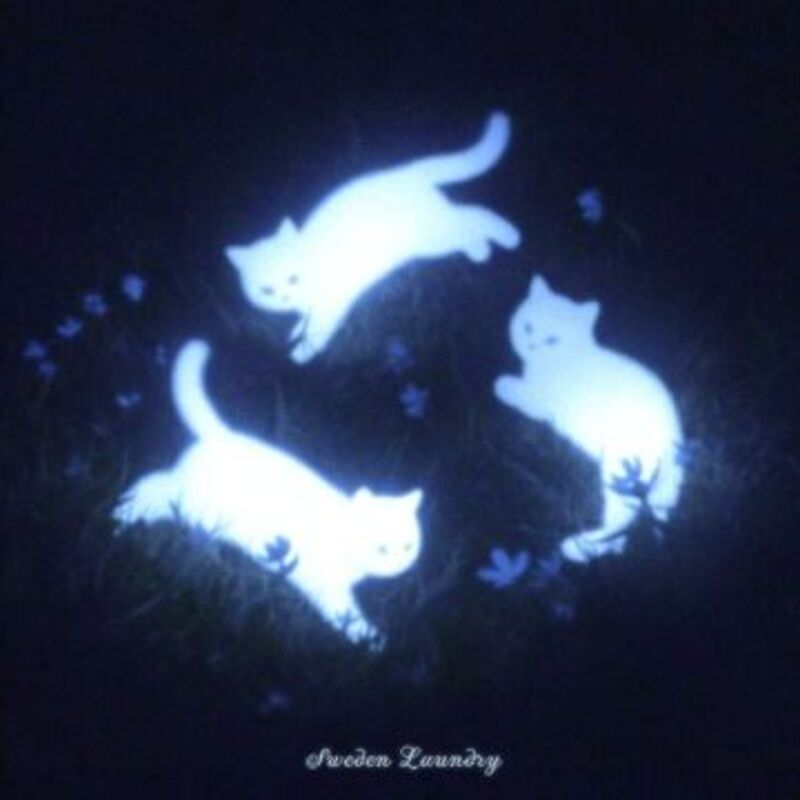 forever more (영영) - Sweden Laundry