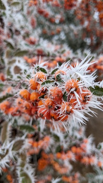 [Image: 8-D21-F8-B4-5248-4-B34-A1-E5-9-EB72-FA34-F1-E.jpg]