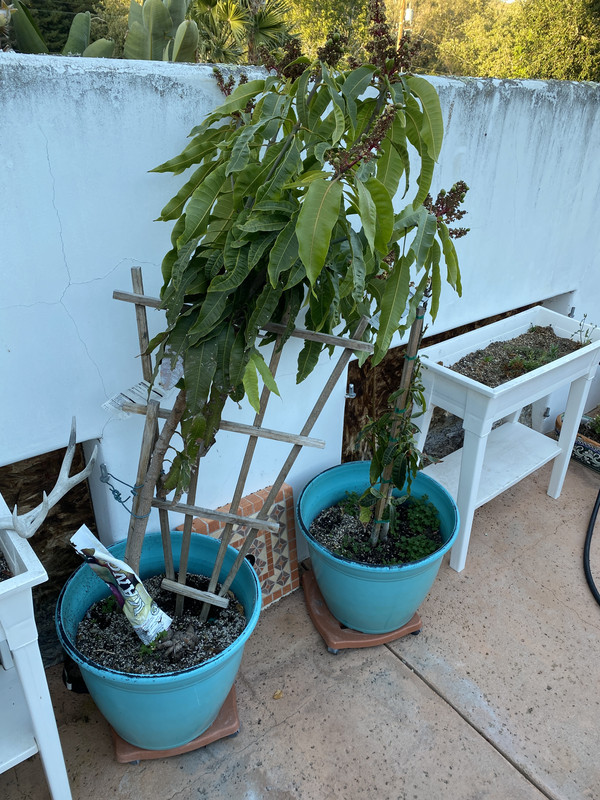 2944E8AE-8F13-4FC2-99F8-0538C64CCCB5