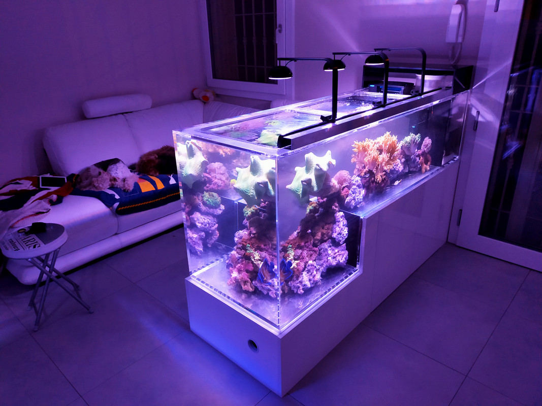 7229CE2A-3265-4928-A15E-8C80CA119426