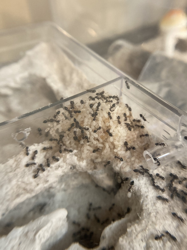 9AACDD02-4C38-43C2-AC84-BE7D827233D6