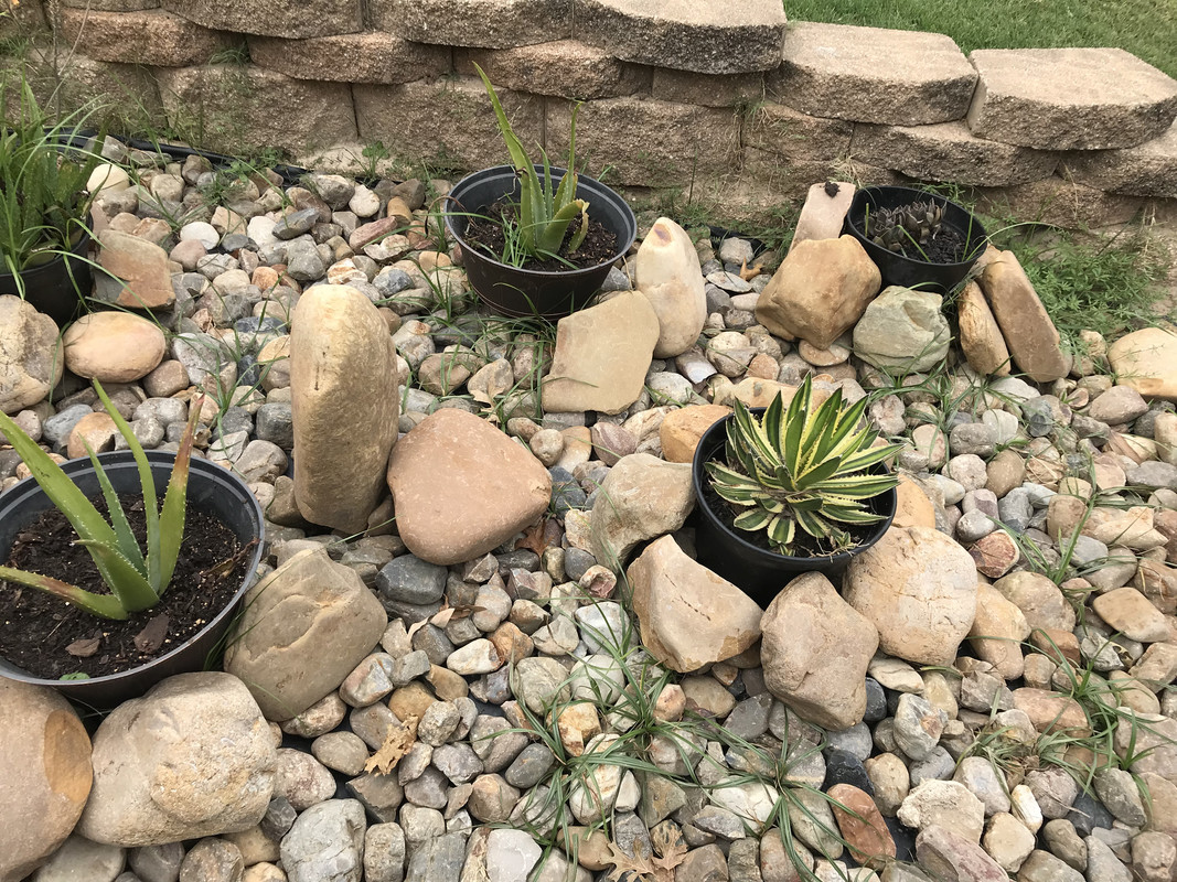 8AA4C36E-149F-4C94-8CBC-357F0274C821