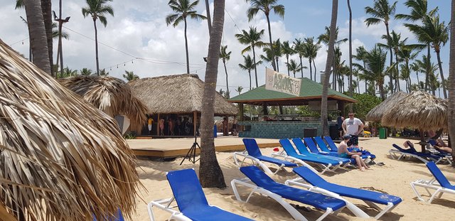 DIA 3 - HOTEL GRAND SIRENIS PUNTA CANA - Hotel Grand Sirenis Punta Cana + Samana + Cortecito (23)