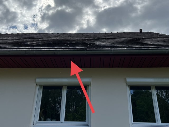 0CC56538-C3C0-4A2B-BB33-9E569C76B8FC