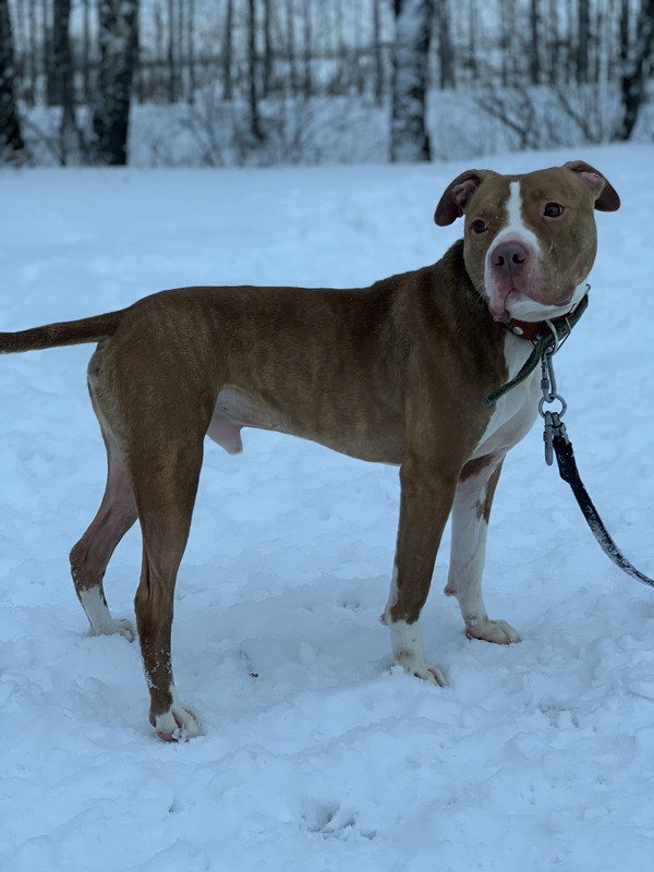 1DCF90C9-9EB0-461F-B178-482493FD098B