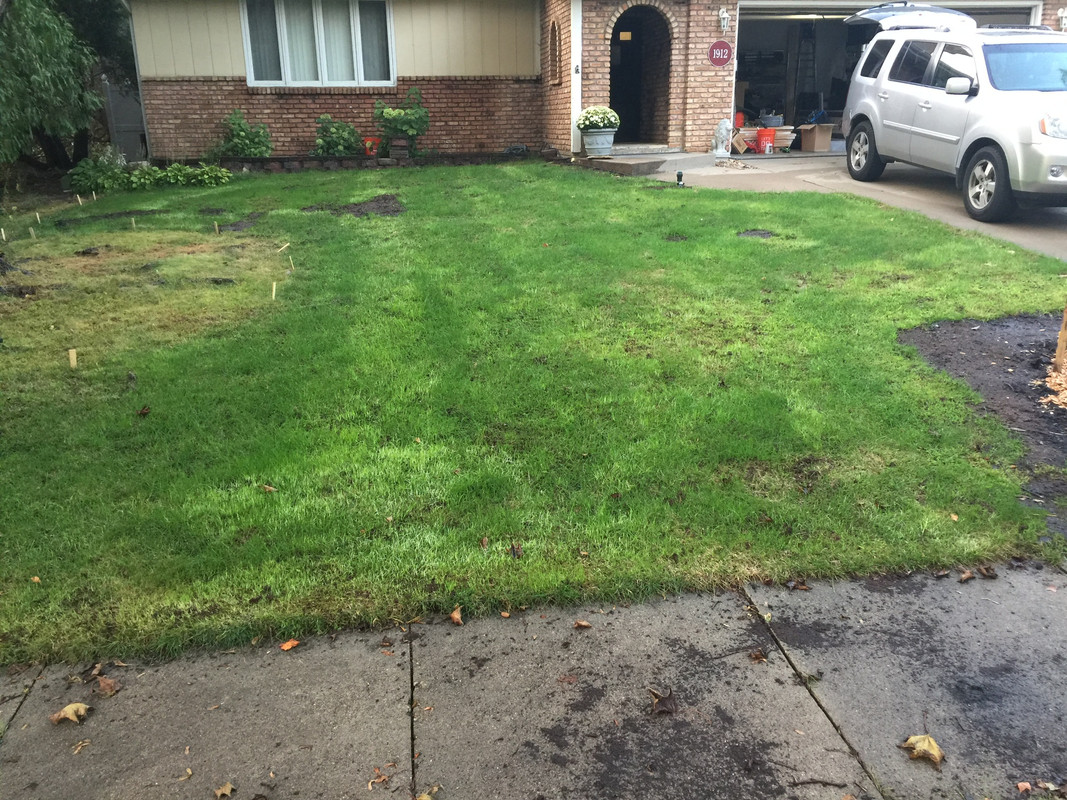 81A3E8D7-495F-41F8-9AE3-A2BE7FB73F72