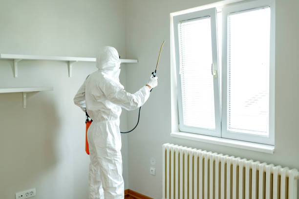 Termite Treatment Kissimmee