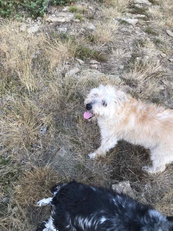 DD614703-6935-4269-B6E1-44F302E7E5AE