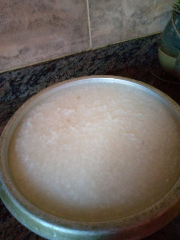 arroz 4