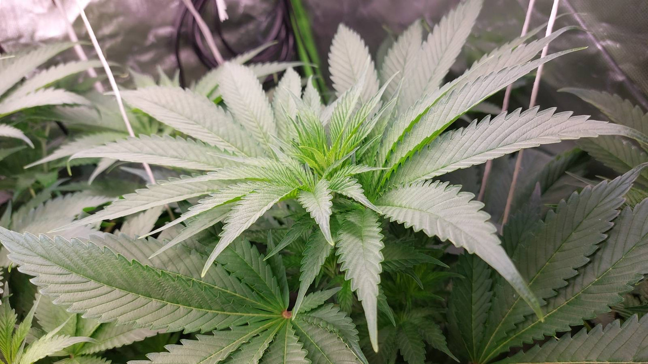 6E436A14-6002-4DFC-A22C-CAB3151161C0