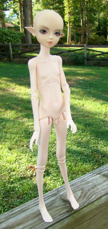 HewittHeadDollChateauMaleBody